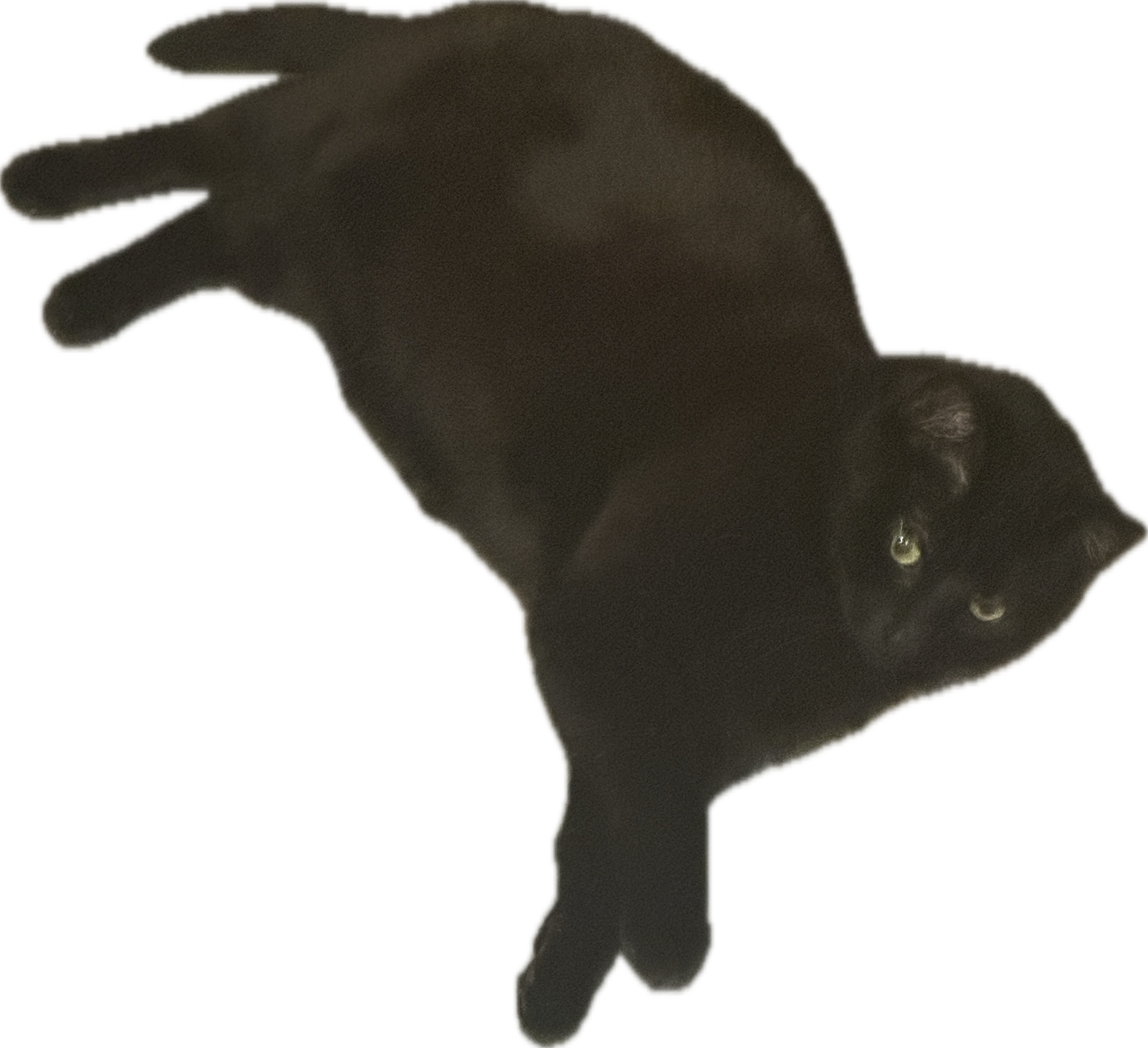Second Image