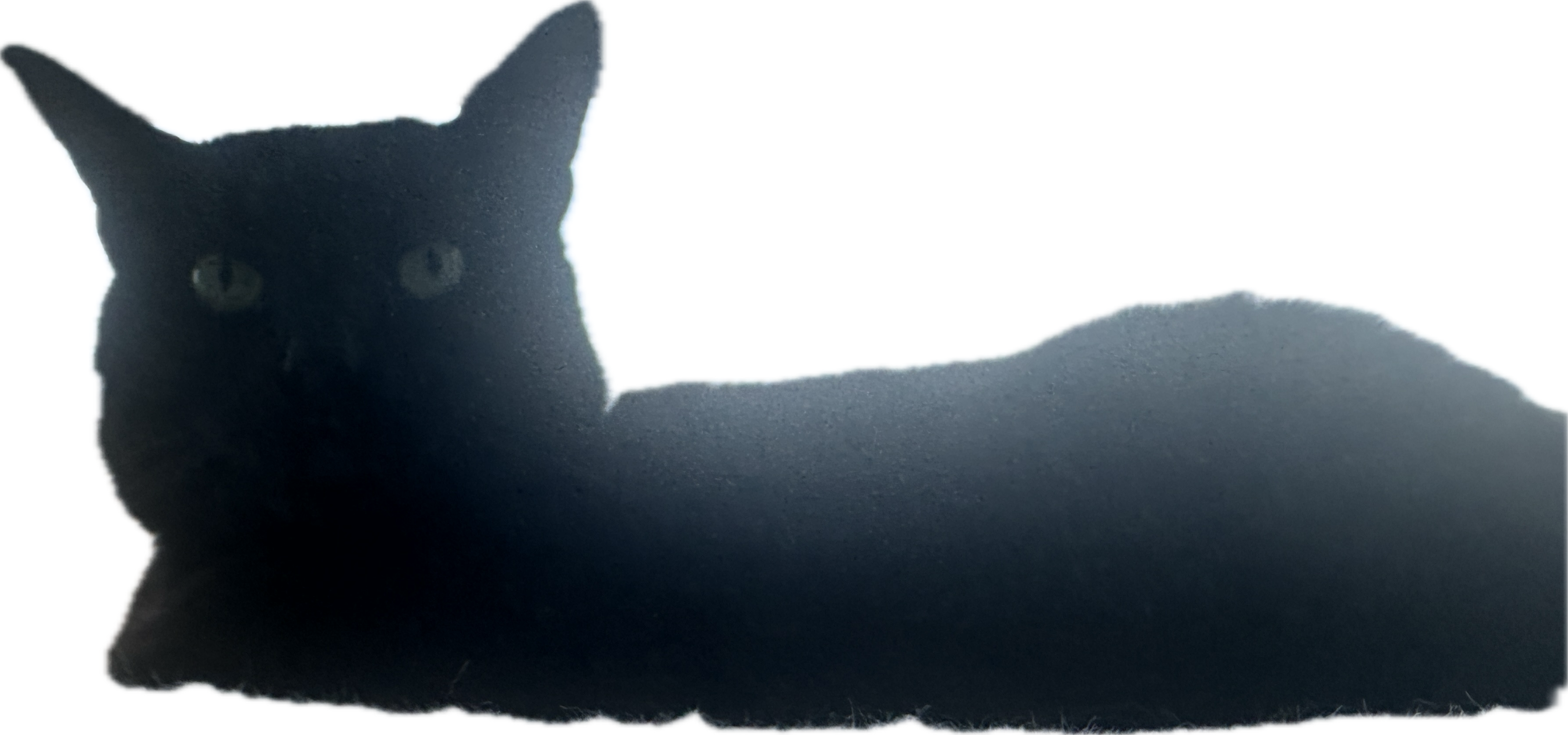 Second Image