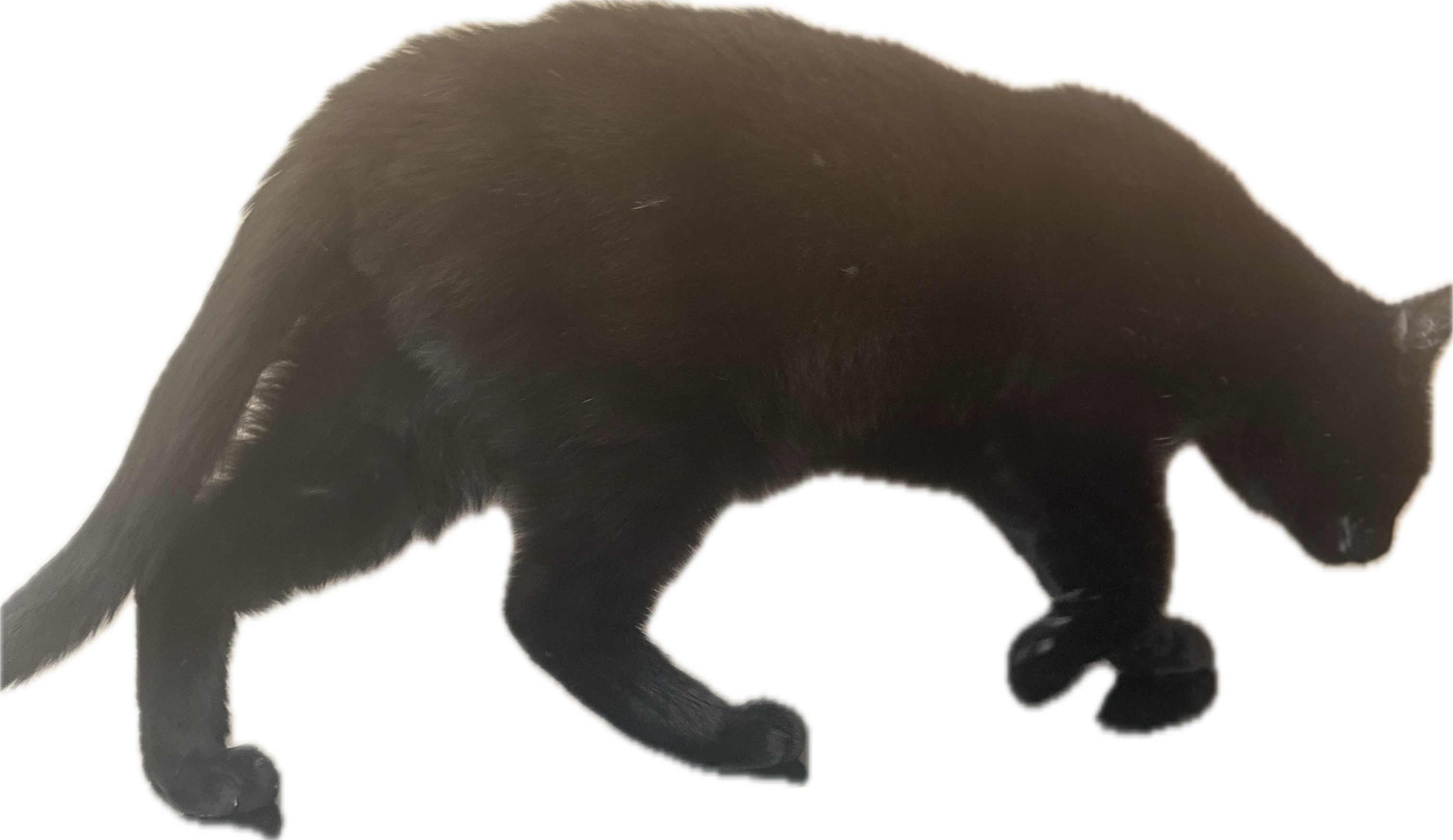 Second Image